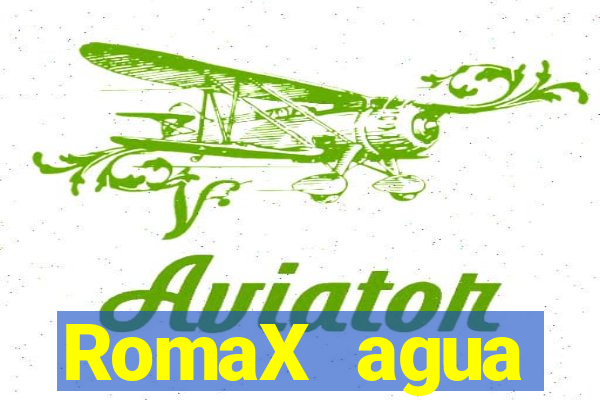 RomaX agua sanitaria fispq agua sanitaria romax